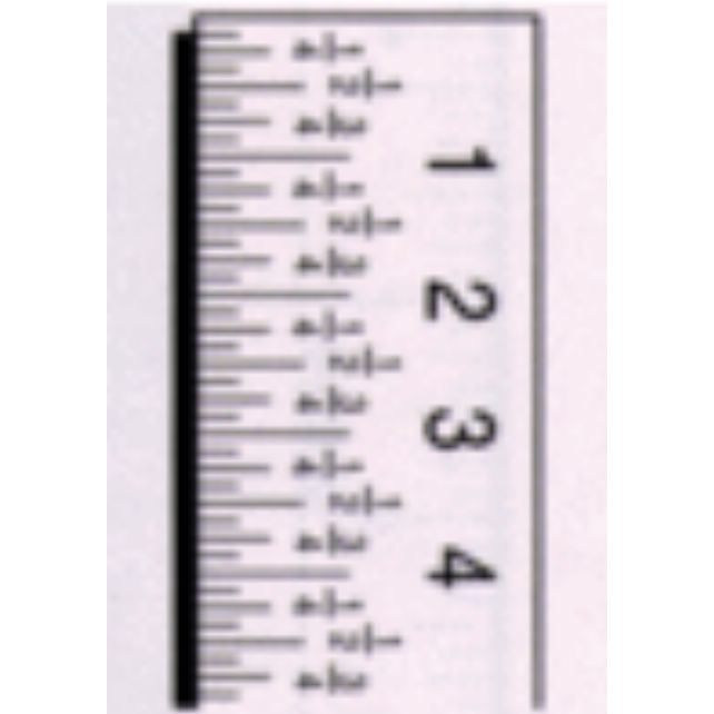 Scale Half-size Scale, 12", L-R