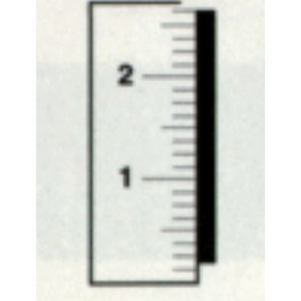 Ruler, 1/16 ", Vertical, 3/4" x 60" (.063 thick), Reads Botto