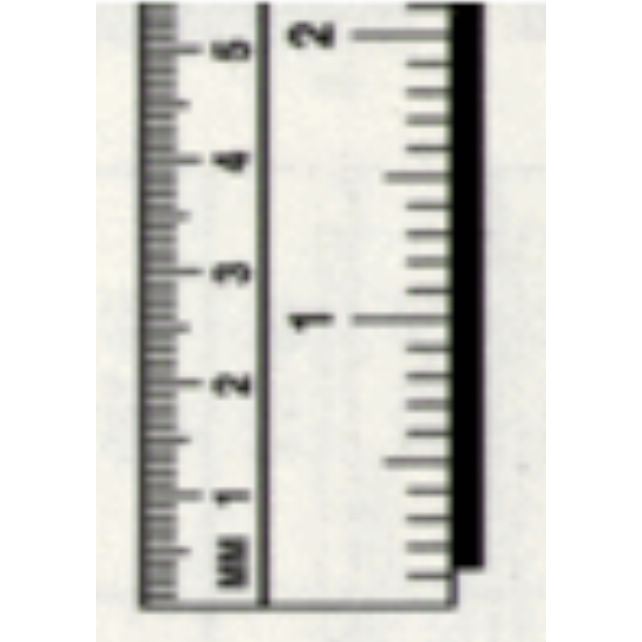 Ruler, Metric/English,1" x 100", extension for 90-300 begins wit