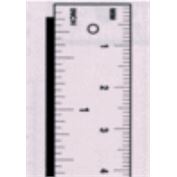 Fairgate Scale English on Bottom Edge & Metric on Top Edge-One Side 12"