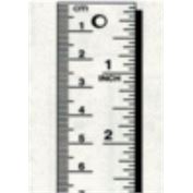 Ruler Vertical 36 "