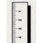 Scale Scale Half Scale, 16ths, 3/4" x 18" (.040 thick), R-L