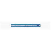 Staedtler Ruler Plastic Ring Binder Ruler, Blue Tint 12 "/30CM