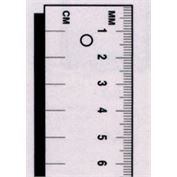 Fairgate Scale/Ruler Metric Calibrated Two Edges One Side 30cmX35MM