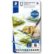 Watercolor Pencil Tinted Graphite in Metal Tin 12 count